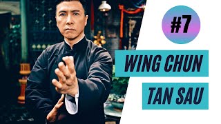 Wing Chun martial arts training - The Tan Sau