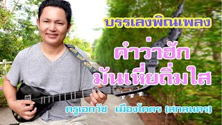 บรรเลงพิณเพลง คำว่าฮักมันเหี่ยถิ่มใส