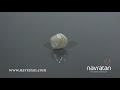 certified natural basra pearl 2.62 carat navratan.com