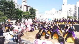 蓮雫2016　下田町公園1日目