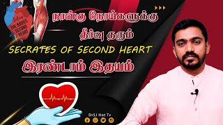 அந்த 4 நோய்களுக்கான நிரந்தர தீர்வும் இரண்டாம் இதயமும்  l SECOND HEART OF HUMAN BODY l DrSj lDrSj