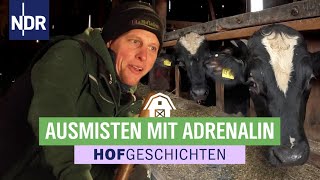 Harter Job im Bullenstall | Hofgeschichten (359) | NDR