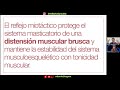 consideraciones etiológicas en los trastornos temporomandibulares 💀 con dr will vazquez