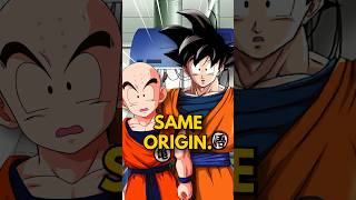 Humans and Saiyans Are RELATED?