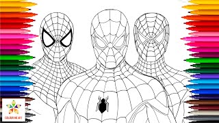 Colouring Spiderman | All 3 Spidermen | Spiderman Colouring Pages