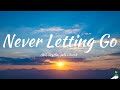 Alok, Gryffin, Julia Church - Never Letting Go (Lyrics)