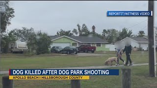 Pet owner will not be charged after shooting and killing a dog at an Apollo Beach dog park Monday af