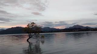 Most peaceful place on earth! Wanaka, Queenstown, New Zealand