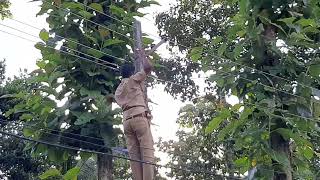 KSEB New 3-Phase Electric line Laying, Energy Metre Installation For Home Detailed Video