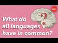 What do all languages have in common? - Cameron Morin