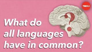 What do all languages have in common? - Cameron Morin
