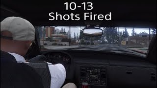 Roleplayers Guide:GTA V police. 10 codes {Pt1}