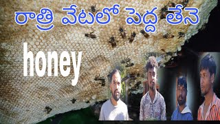 పెద్ద తేనె రాత్రి వేట honey nature #nature and beauty news #araku#nbn br latchanna