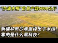 新疆和田沙漠裏種出了水稻!畝總産超5000公斤,靠的是什麽黑科技！