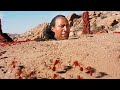The Rock contre les fourmis de feu | Le roi scorpion | Extrait VF