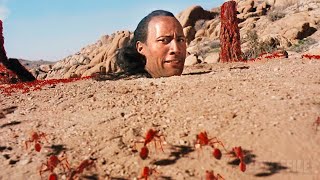 The Rock contre les fourmis de feu | Le roi scorpion | Extrait VF