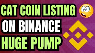 🚀Simon's Cat Coin Listing on Binance Today - Cat Coin Crypto - New Coin Listing On Binance