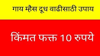 गायी म्हैस चारा खाऊन दूध देत नाही यावर 100 टक्के घरगुती उपाय..