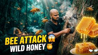 We Went Deep Into Jungle for Honey… Got Attacked by Bees! 🐝😱 | Camping Part 2
