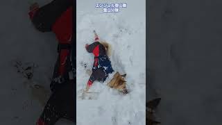 エンジェル登山隊　　雪山分隊　　　　　隊長のひばりちゃん　妹のリンダ#エンジェル登山隊#雪山分隊#########################