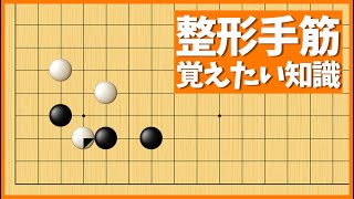 巧みに厚い形を築ける、ツケコシの整形術【朝活講座 - サバキNo.075】