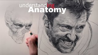 Watch Me Transform a Skull into Wolverine | Realistic Anatomy Drawing