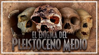 ¿Resuelto? 💀 El ENIGMA del PLEISTOCENO MEDIO: ¿es válido HOMO HEIDELBERGENSIS?