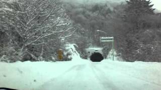 茶臼山高原道路　面ノ木付近