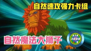 遊戲王5DS133：自然植物速攻的強力的卡組！不動遊蟹VS安德烈02！