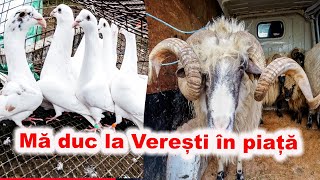 Mă duc la Verești în piață Judetul Suceava Vlog Romania