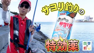 護岸でファミリーフィッシング　手軽に魚を釣りましょう！（四季の釣り/2024年9月13日放送）