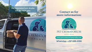 A Gentle Goodbye Filled With Love 🐾 Pet Crematorium Aruba
