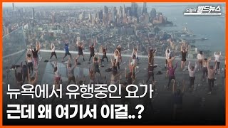 [30초 월드] 뉴욕에서 유행중인 요가.. 근데 좀 이상하다? / OBS 오늘의 월드뉴스