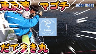 東京湾　マゴチ　横浜　だてまき丸