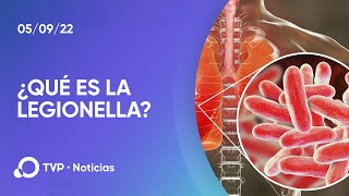¿Qué es la Legionella?
