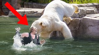 11 Zoo Animal Attacks