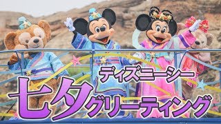 ディズニーシー 七夕グリーティング2018 ミッキー広場最前列