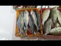 2️⃣0️⃣ கிலோ தூண்டில் வெள்ளை சூரை தூண்டில் நெய்மீன் beerichfishcorner nagercoil fishing seafood