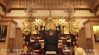 【疲れた心に癒やしの時間を】 毎日 お経配信  1445日目   / Every day Japanese buddhism service for peae