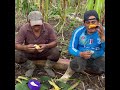 Asando choclos en la finca