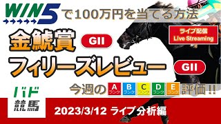 【WIN5で100万円：ライブ分析編】 2023年3月12日（日）金鯱賞・フィリーズレビュ