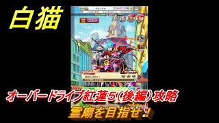 白猫　オーバードライブ紅蓮５（後編）攻略　霊廟を目指せ！　ガチャキャラ　レクト（竜）フィリア（変）キアラ（鎖剣）　＃３８　【白猫プロジェクト】