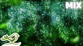 Beautiful Piano Music Mix with Rain Sounds • Relaxing Music by Peder B. Helland
