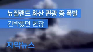 [자막뉴스] 뉴질랜드 화산섬 폭발…“수십명 부상·실종” / KBS뉴스(News)