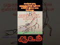 வஜ்ர பிடரி கண் யோகம்