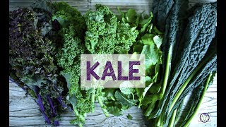 Les bienfaits du kale