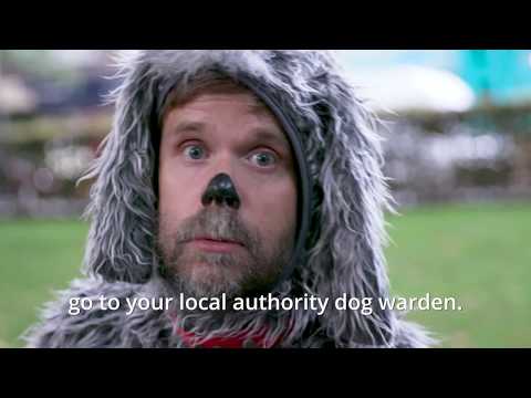 Are your dog's microchip details up-to-date? Are your dog's microchip details up-to-date?