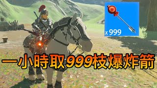 【薩爾達傳說︰曠野之息】更快方法，一小時內刷999枝爆炸箭