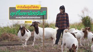 ‘น้องวันดี’ คุกกี้แพะ พลังแอนิมอล