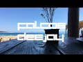 ark beach bar relaxing deep house music 2025 2026 songs mix